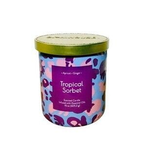 Opalhouse 15oz Tropical Sorbet Scented Candle 2-Wick Glass Jar NEW